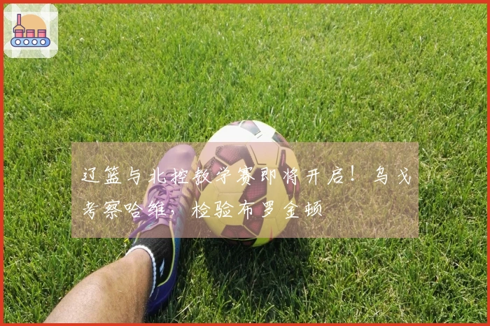 辽篮与北控教学赛即将开启！乌戈考察哈维，检验布罗金顿