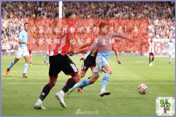 辽篮与北控教学赛即将开启！乌戈考察哈维，检验布罗金顿